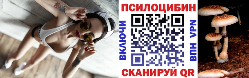 цены   Приволжск  Псилоцибиновые грибы MAGIC MUSHROOMS 